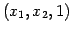 $ (x_{1},x_{2},1)$