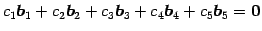 $\displaystyle c_1\vec{b}_1+ c_2\vec{b}_2+ c_3\vec{b}_3+ c_4\vec{b}_4+ c_5\vec{b}_5 =\vec{0}$