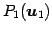 $ P_{1}(\vec{u}_1)$