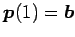 $ \vec{p}(1)=\vec{b}$