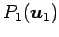 $ P_{1}(\vec{u}_1)$