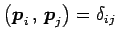 $ \left({\vec{p}_{i}}\,,\,{\vec{p}_{j}}\right)=\delta_{ij}$