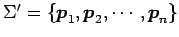 $ \Sigma'=\{\vec{p}_1,\vec{p}_2,\cdots,\vec{p}_n\}$