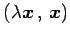 $\displaystyle \left({\lambda\vec{x}}\,,\,{\vec{x}}\right)$