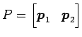 $ P=\begin{bmatrix}\vec{p}_1 & \vec{p}_2 \end{bmatrix}$