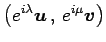 $\displaystyle \left({e^{i\lambda}\vec{u}}\,,\,{e^{i\mu}\vec{v}}\right)$