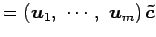 $\displaystyle = \left(\vec{u}_1,\,\, \cdots,\,\, \vec{u}_m\right)\vec{\tilde{c}}$