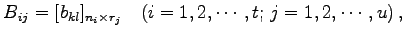 $\displaystyle B_{ij}=[b_{kl}]_{n_{i}\times r_{j}}\quad (i=1,2,\cdots,t;\,j=1,2,\cdots,u)\,,$