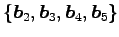 $ \{\vec{b}_2,\vec{b}_3,\vec{b}_4,\vec{b}_5\}$