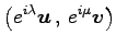 $\displaystyle \left({e^{i\lambda}\vec{u}}\,,\,{e^{i\mu}\vec{v}}\right)$